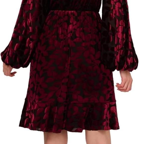 Adrianna Papell Velvet Burnout Short Dress Women's Dress Burgundy/Black : 10, - Picture 4 of 5